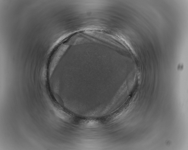 X0000096130348200802011153