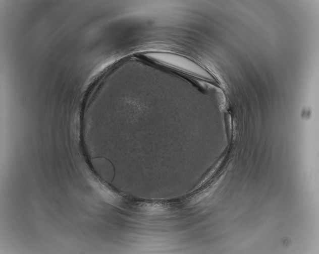 X0000096130349200802011153