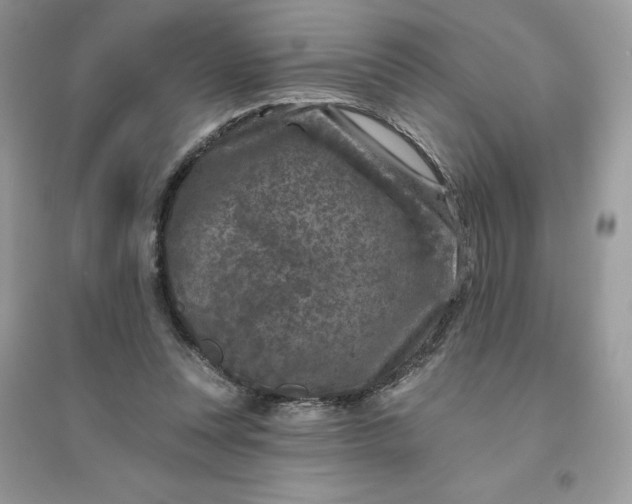 X0000096130351200802011153