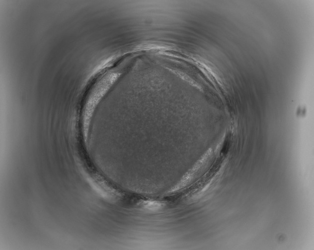 X0000096130352200802011153