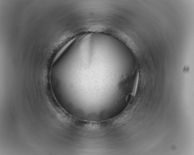 X0000096130354200802011153
