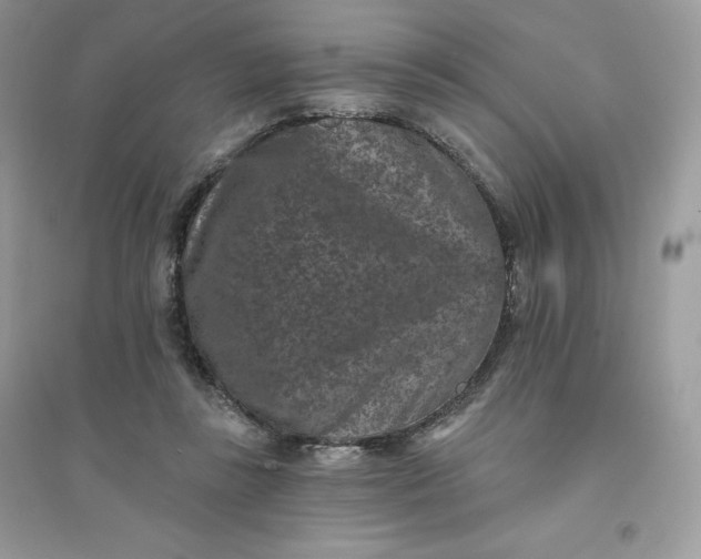 X0000096130355200802011153