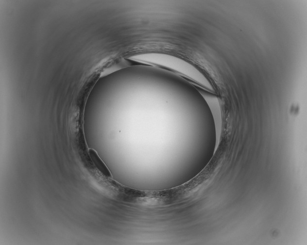 X0000096130356200802011153