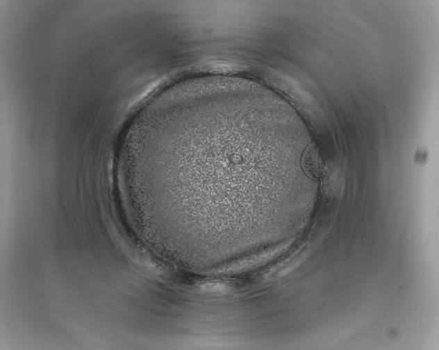 X0000096130358200802011153