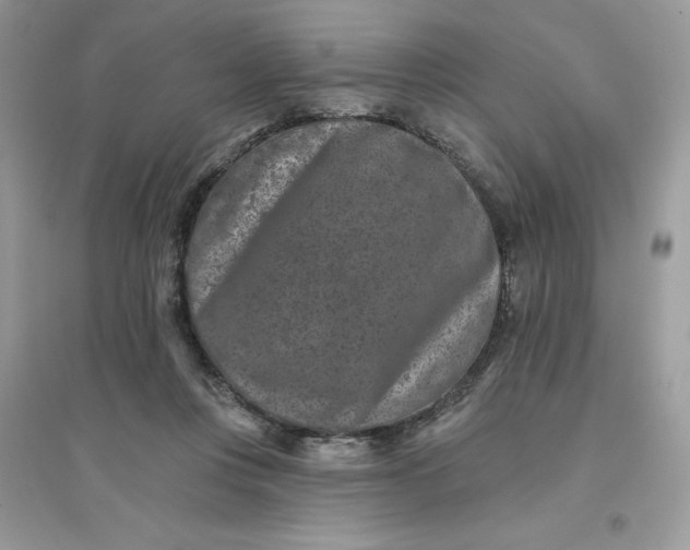 X0000096130359200802011153