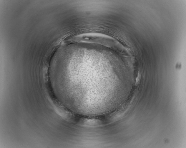 X0000096130360200802011153