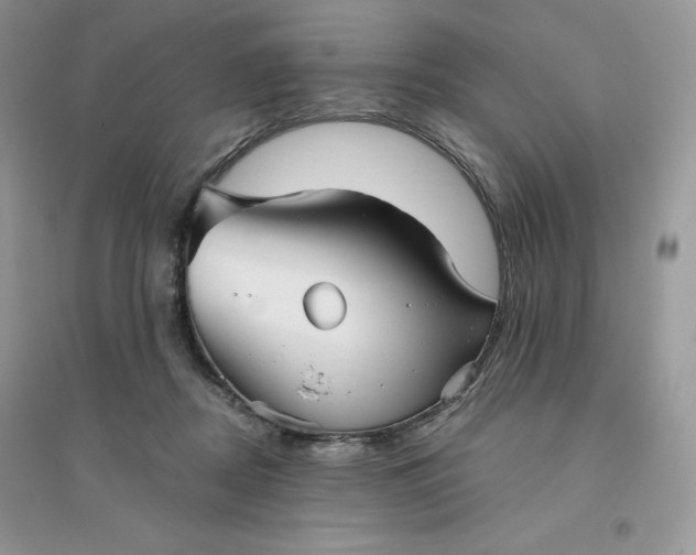 X0000096130362200802011153