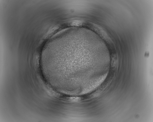 X0000096130363200802011153