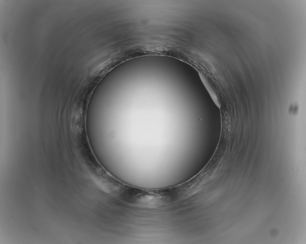 X0000096130364200802011153