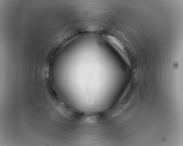 X0000096130368200802011153