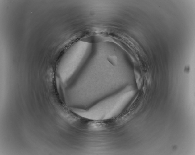 X0000096130372200802011153