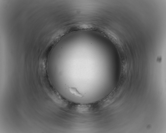 X0000096130373200802011153
