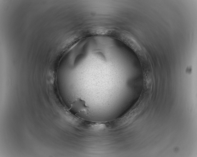 X0000096130374200802011153