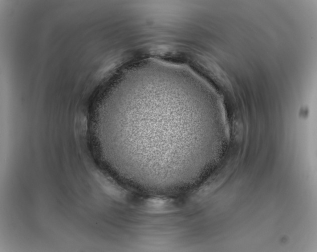 X0000096130375200802011153