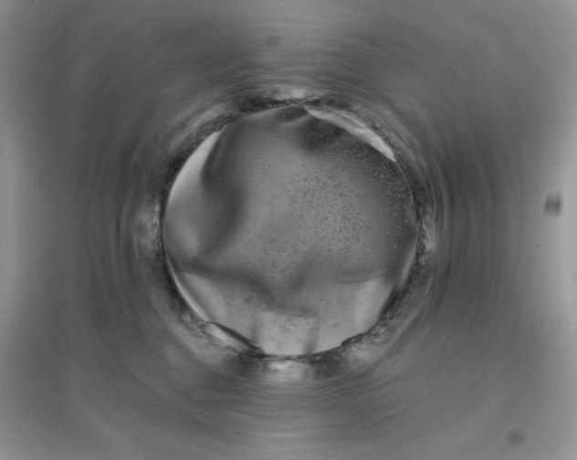 X0000096130376200802011153