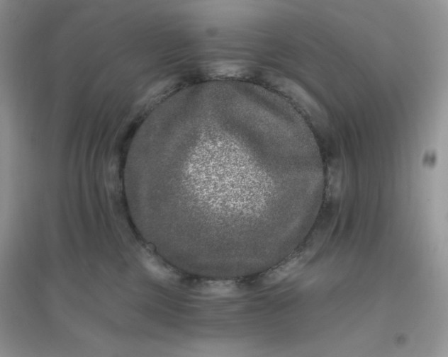 X0000096130377200802011153