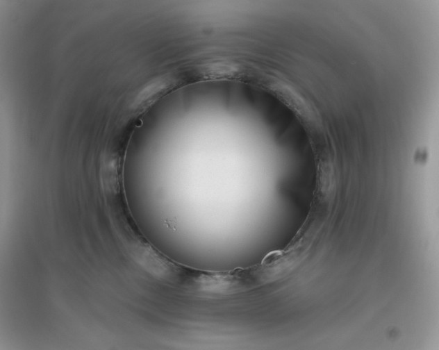 X0000096130378200802011153