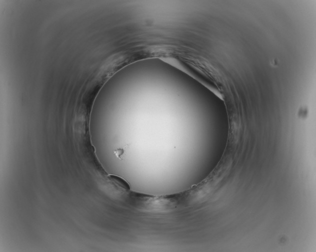 X0000096130379200802011154