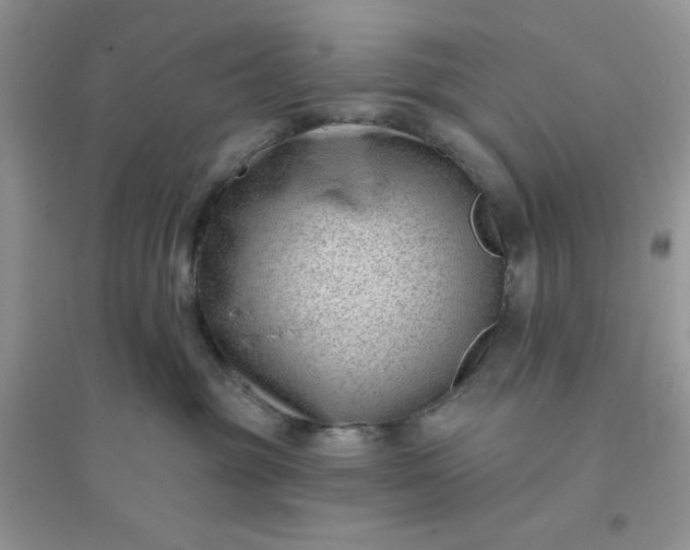 X0000096130381200802011154