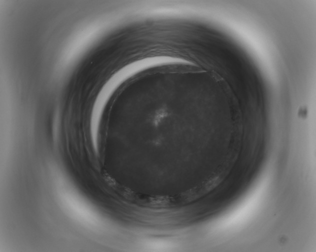 X0000096130382200802011154
