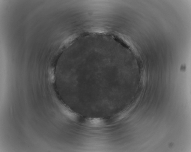 X0000096130383200802011154
