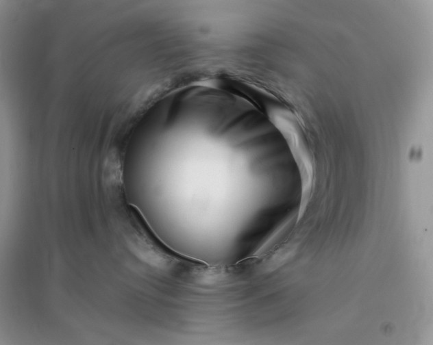 X0000096130384200802011154