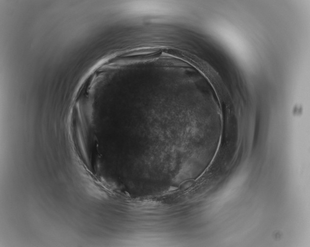 X0000096130387200802011153