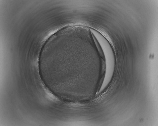 X0000096130389200802011153