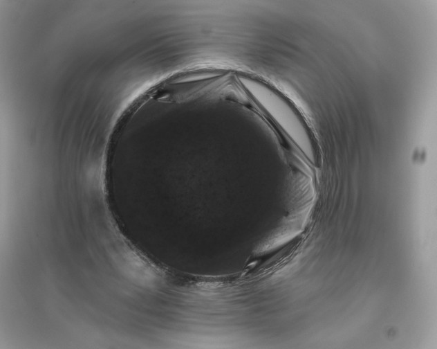 X0000096130391200802011153