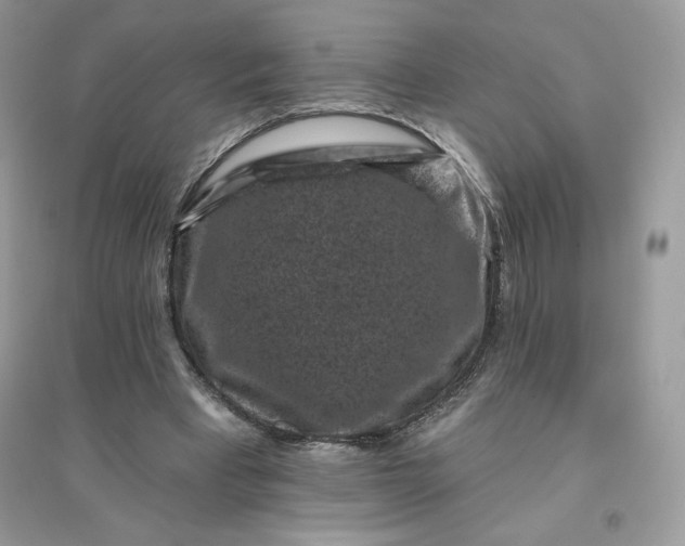 X0000096130393200802011153