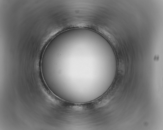 X0000096130394200802011153