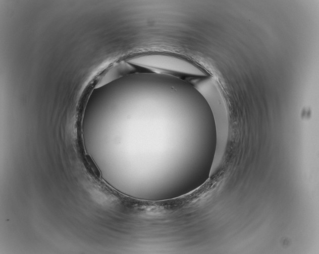 X0000096130395200802011153