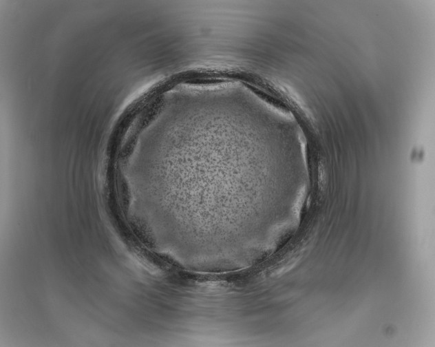 X0000096130396200802011153