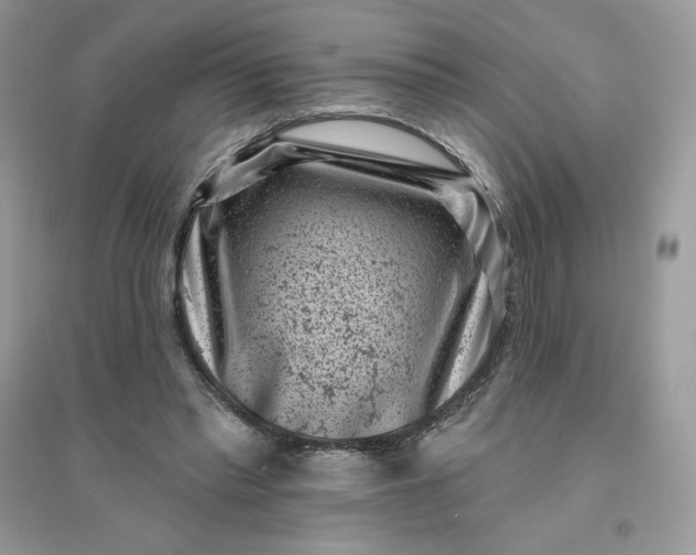 X0000096130397200802011153