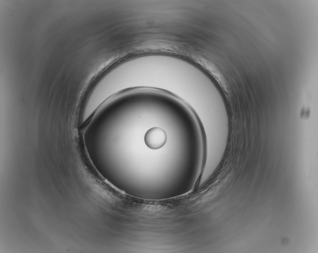 X0000096130399200802011153
