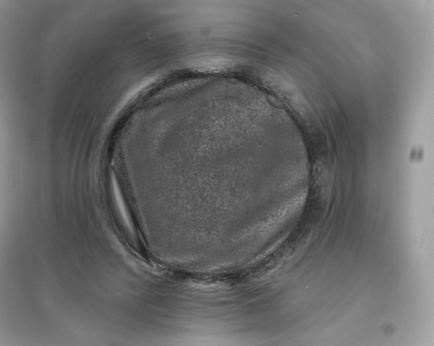 X0000096130400200802011153