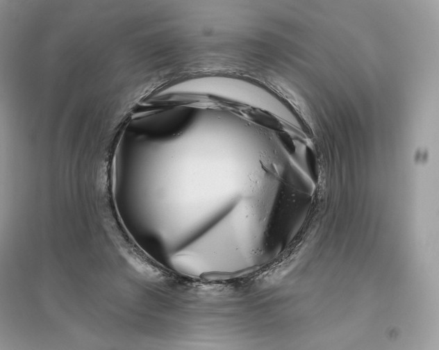 X0000096130401200802011153