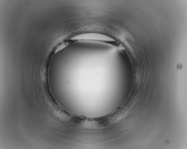 X0000096130403200802011153