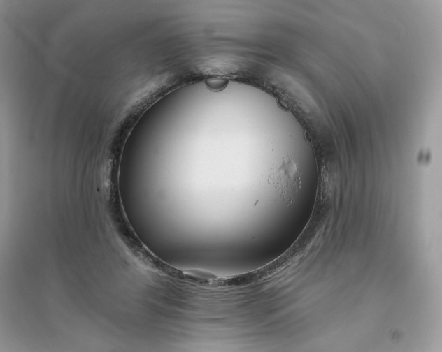 X0000096130404200802011153