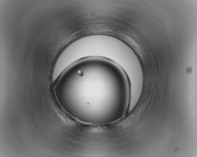 X0000096130405200802011153