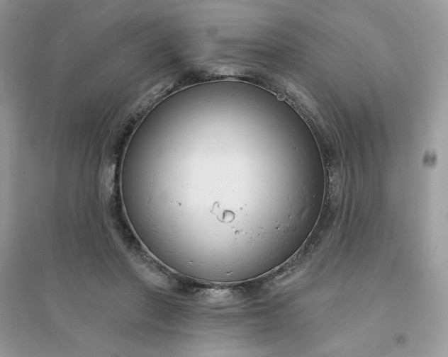 X0000096130406200802011153