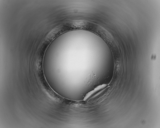 X0000096130408200802011153