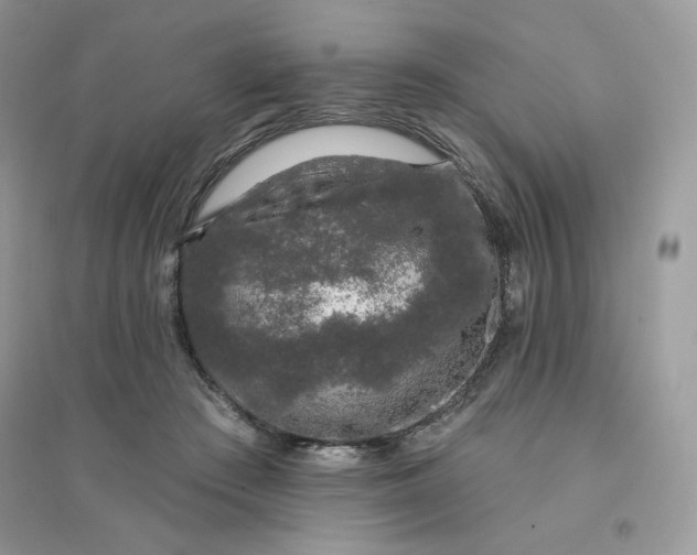X0000096130409200802011153
