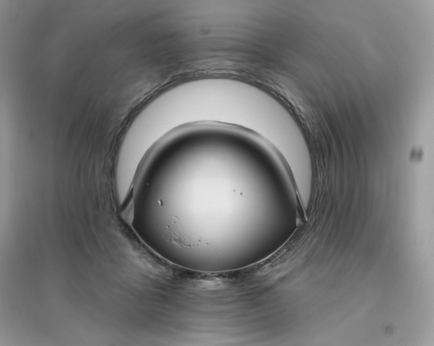 X0000096130411200802011153