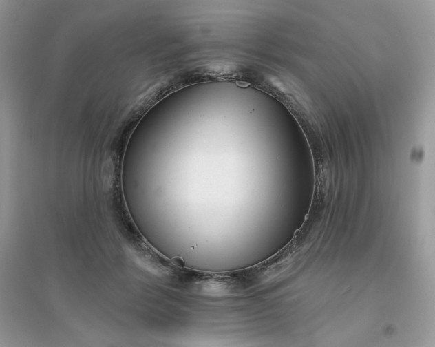 X0000096130412200802011153