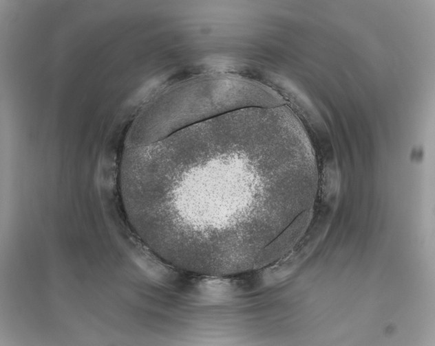 X0000096130413200802011153