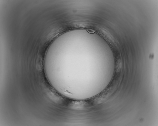 X0000096130414200802011153