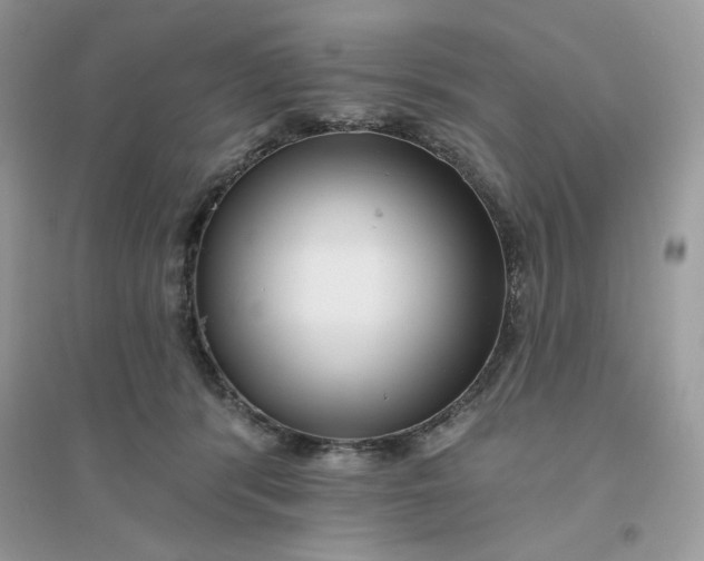X0000096130416200802011152