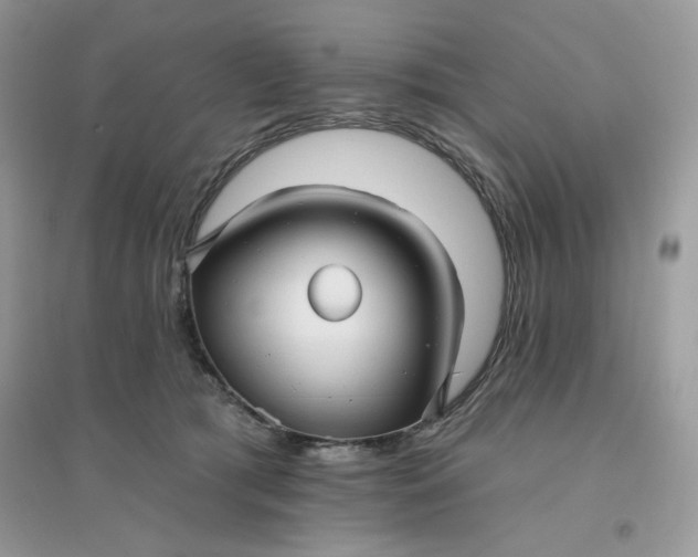 X0000096130417200802011152