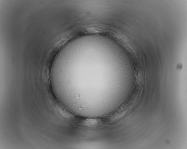 X0000096130418200802011152